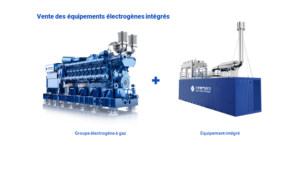 Business Model-gas generator sales-FR