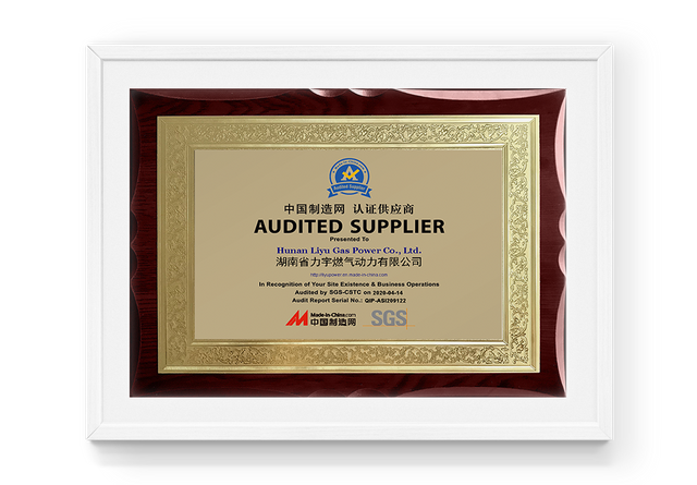 Fournisseur certifié du réseau de fabrication de Chine