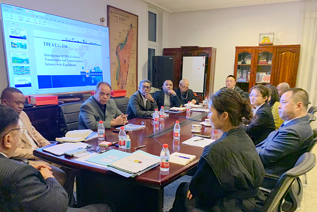 Liyu Group Participates in Madagascar Government Delegation Forum.png