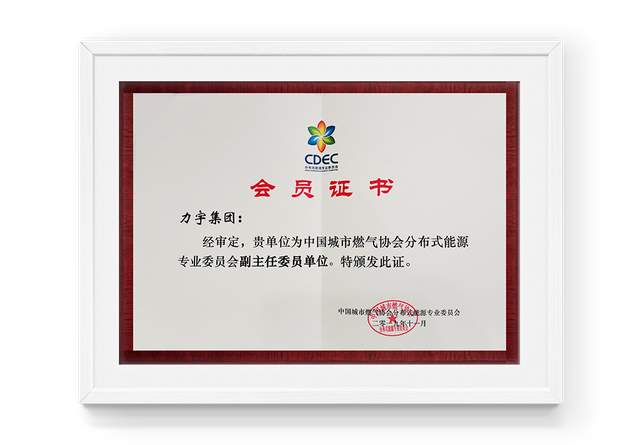 Évaluation de la vice-présidente de l'unité du Comité professionnel de l'énergie distribuée de l'Association des gaz urbains chinois