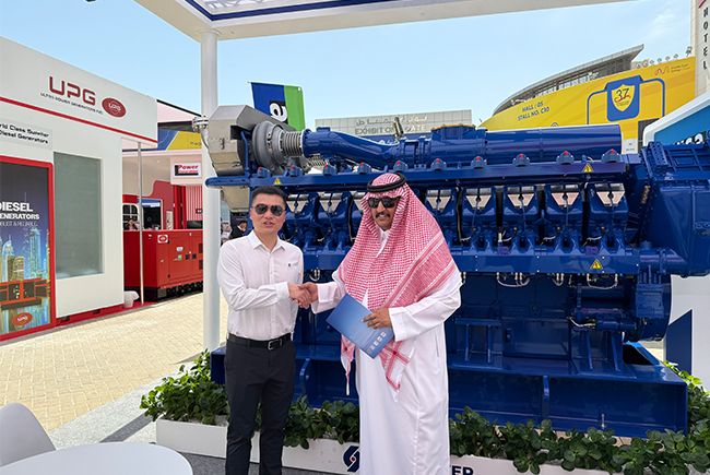 Liyupower brille à l'énergie du Moyen-Orient Dubaï 2025