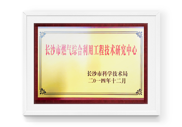 Reconnu par Changsha Gas Comprehensive Utilisation Research Center