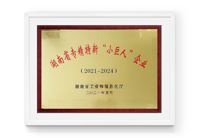 Province du Hunan spécialisée, raffinée, unique et nouvelle 'Little Giant ' Enterprise