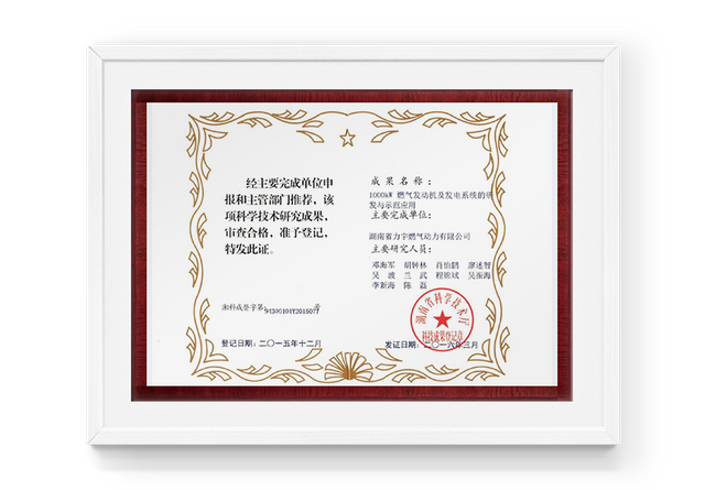 Prix ​​de réalisation des sciences et de la technologie