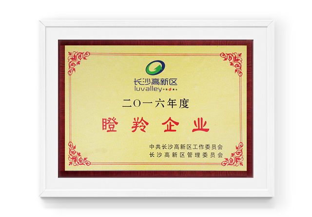 Gazelle Enterprise 2016 dans Changsha High Tech Zone