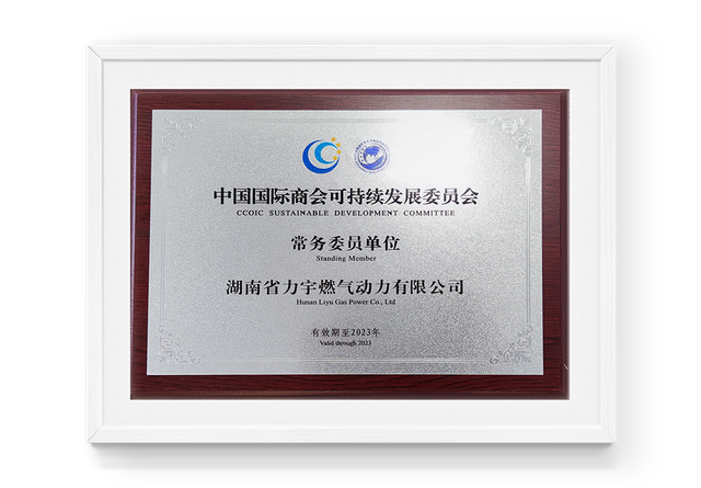 Évaluation de l'unité membre du comité exécutif du comité de développement durable de la Chine internationale de commerce